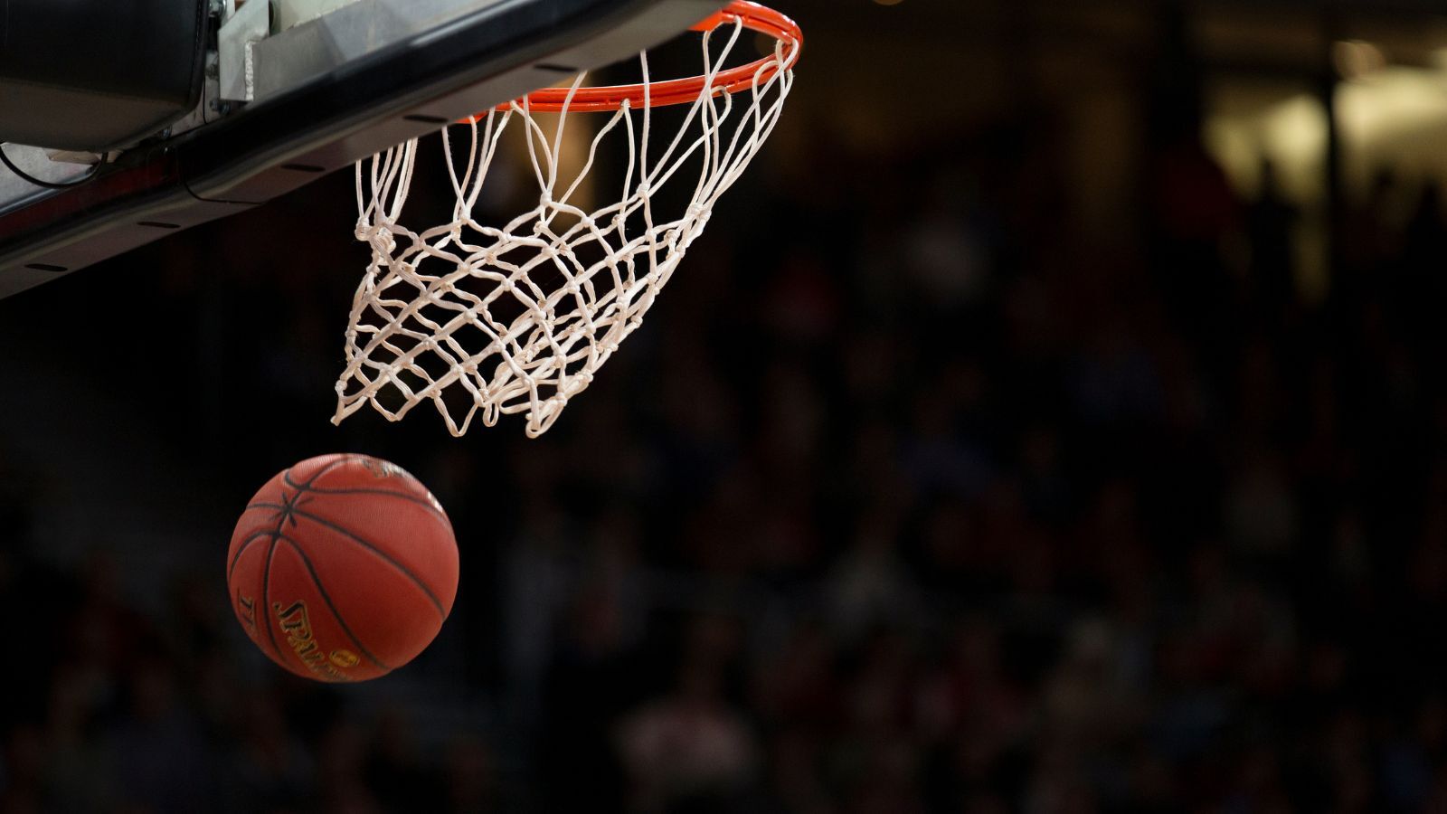 NBA Betting Sites - Top Sportsbooks for 2024