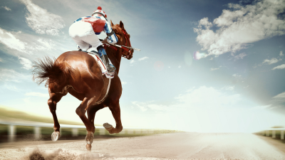 Betting on Horse Racing: Trifecta Bets
