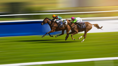 How to Bet on Horse Races – A complete beginners guide to Horse Betting