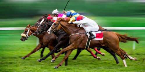 Best Online Legal Horse Racing Betting Sites 2026