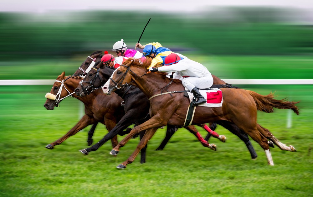 Race,horses,with,jockeys,on,the,home,straight.,shaving,effect.