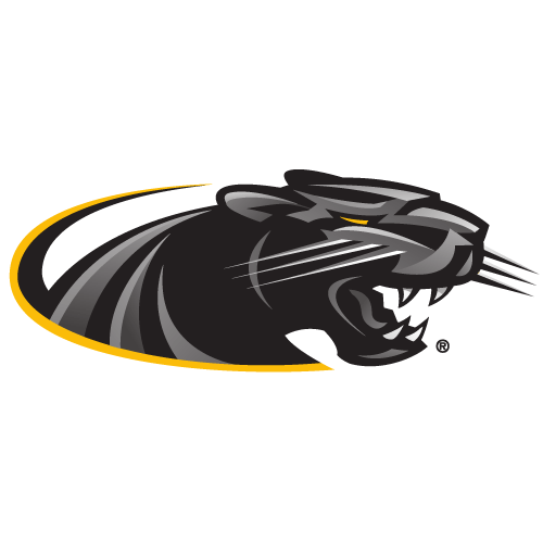 Panthers logo