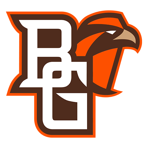 Falcons logo