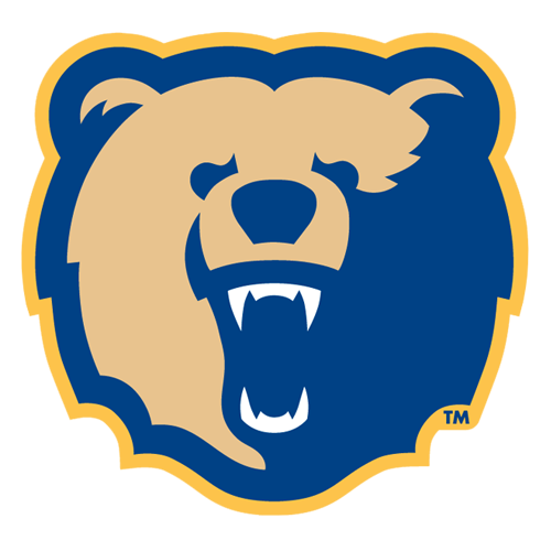 Bears logo