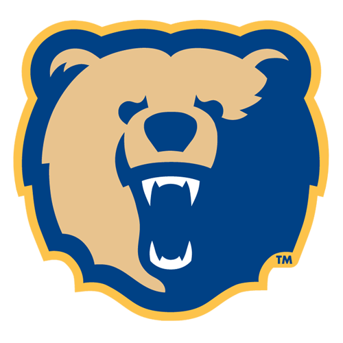 Bears Team Logo