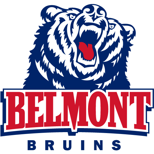 Bruins logo
