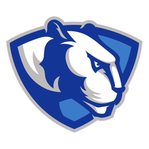 Panthers logo