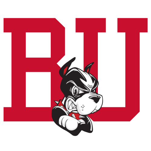 Boston Terriers logo