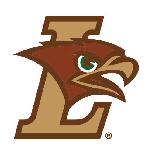 Mountain Hawks logo