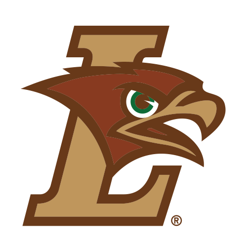 Mountain Hawks logo