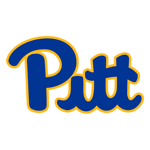 Panthers logo