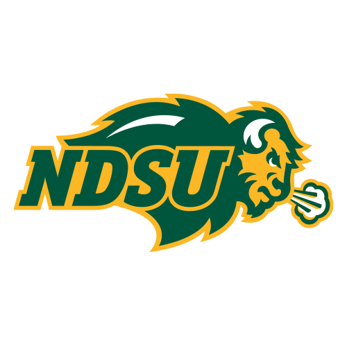 Bison logo