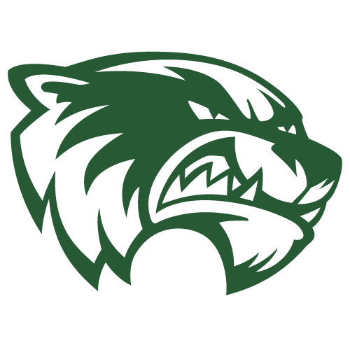 Wolverines Team Logo