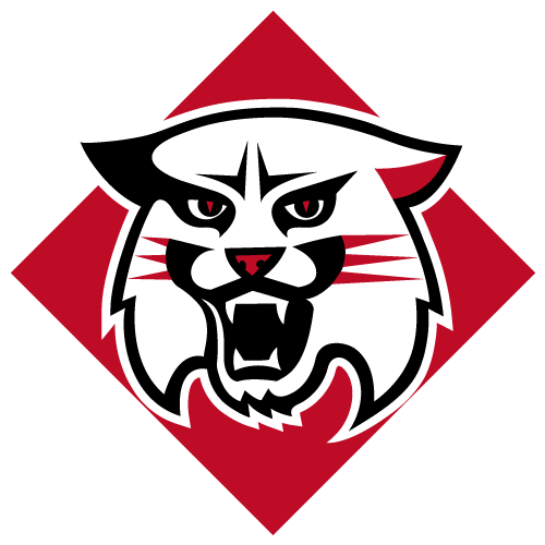 Wildcats logo