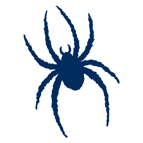Spiders logo