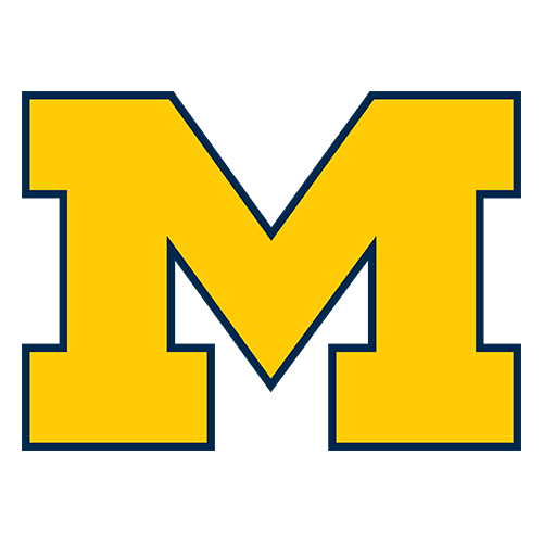 Wolverines logo