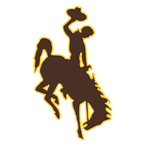 Cowboys