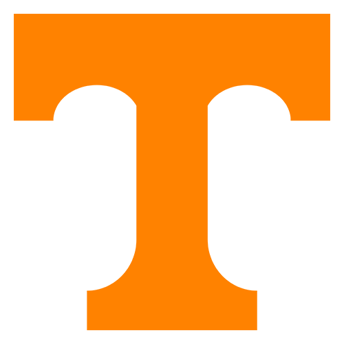 Volunteers team logo