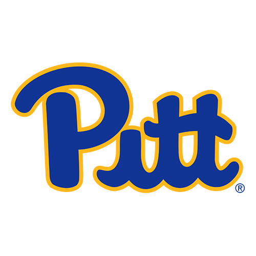 Panthers team logo