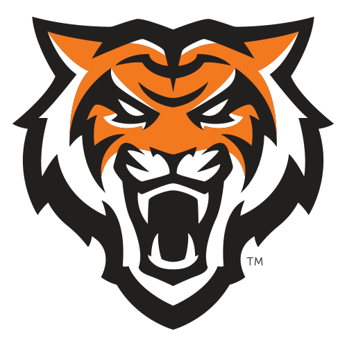 Bengals team logo