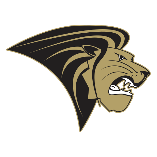 Lions team logo