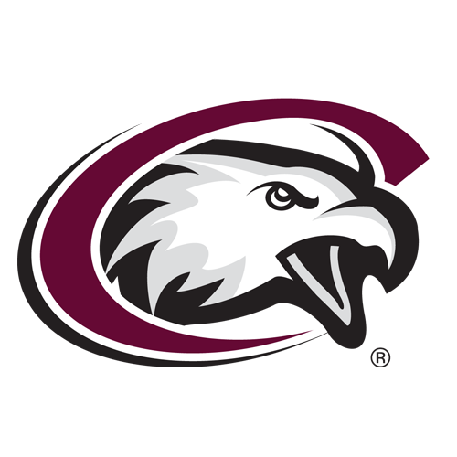 Eagles Team Logo