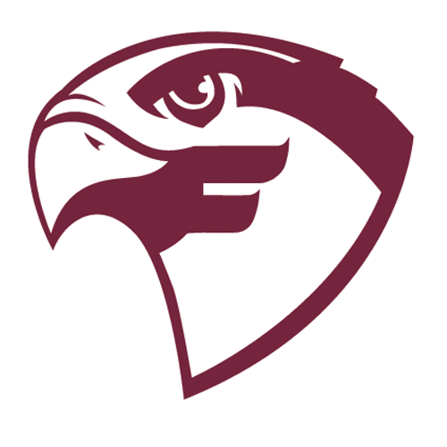 Falcons Team Logo