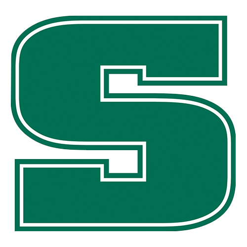 Rock Team Logo